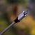 AI-Powered Phishing Scams Are Smarter Than Ever